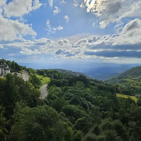 L53 Milmari 公寓 *