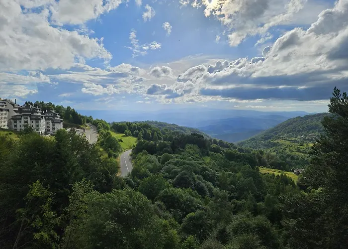 L53 Milmari 公寓 *